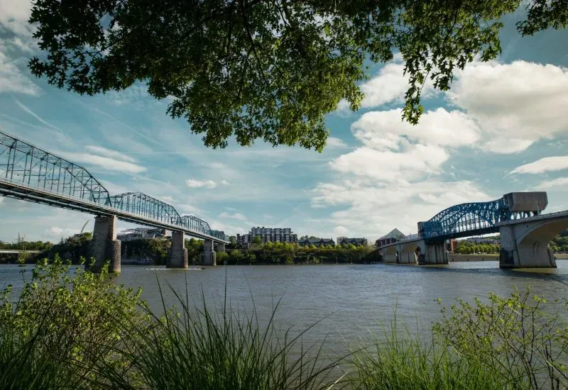 The Tennessee River and a Chattanooga bridge seen from a tree-lined riverbank.